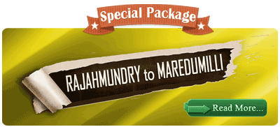 Punnami Tours Packages, maredumilli package, waterfalls, rampa waterfalls, maredumilli forests, maredumilli garden parties